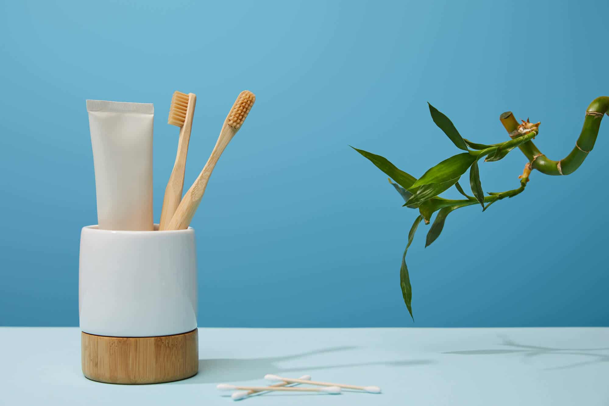 5 best toothbrush holders: reviews + buying guides