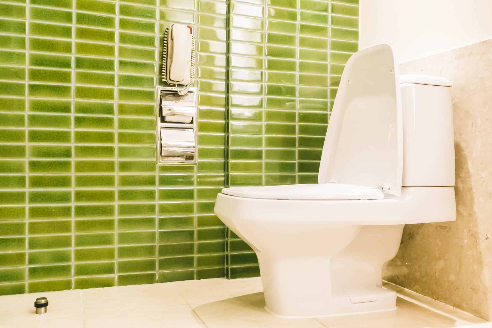 9 best toilet seat: top picks and buying tips