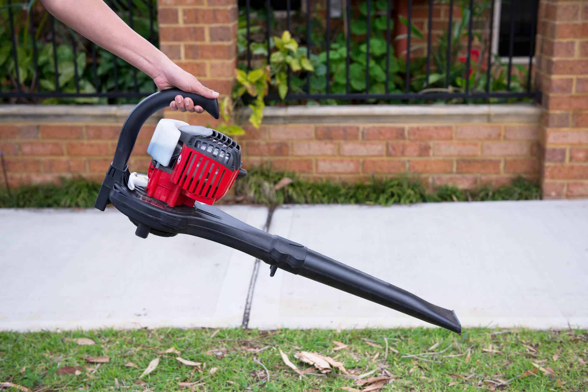 10 best leaf vacuums: reviews and buying tips