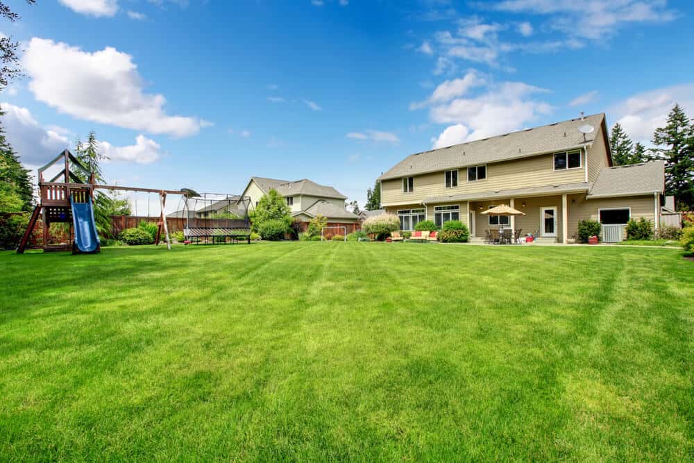 5 best bermuda grass seed: top picks and buying tips