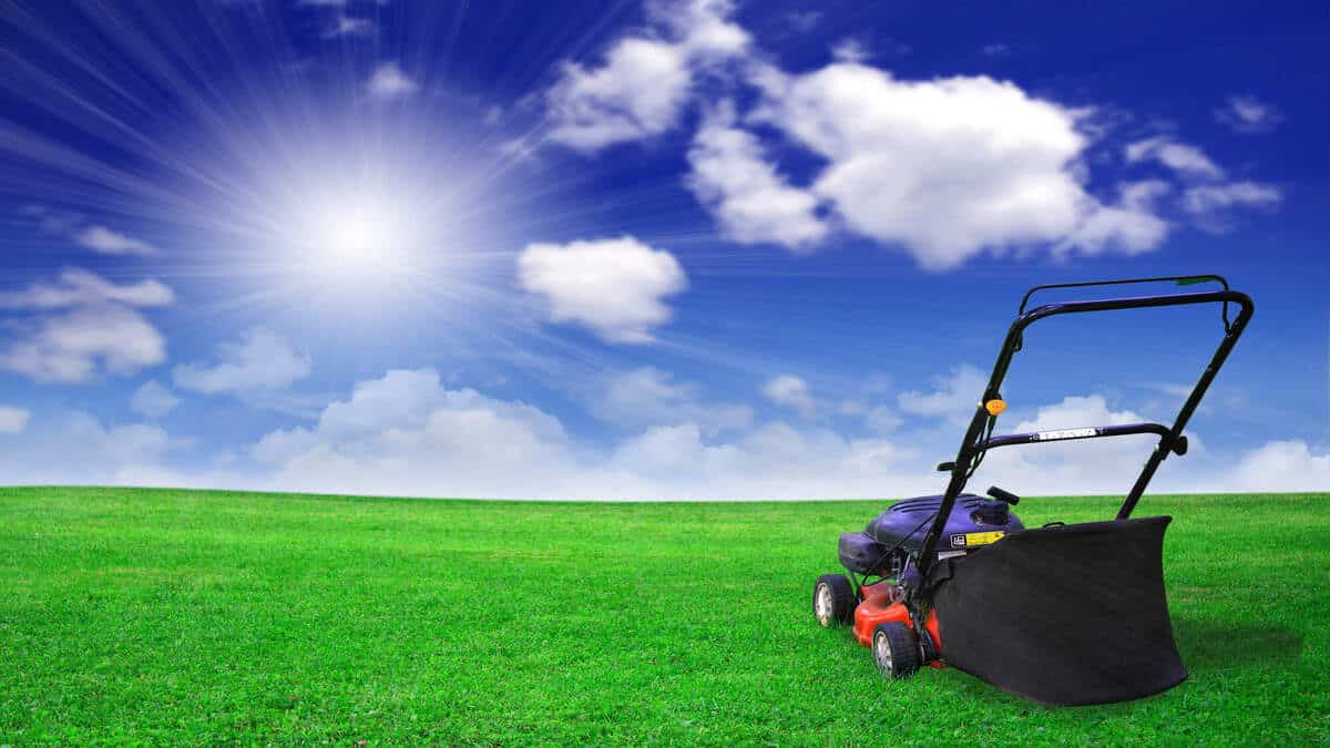 Are Black and Decker Lawn Mowers Any Good? (Explained)