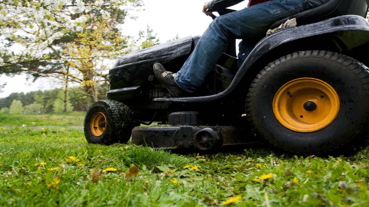 Are Grasshopper Mowers Any Good? (Explained For Beginners)