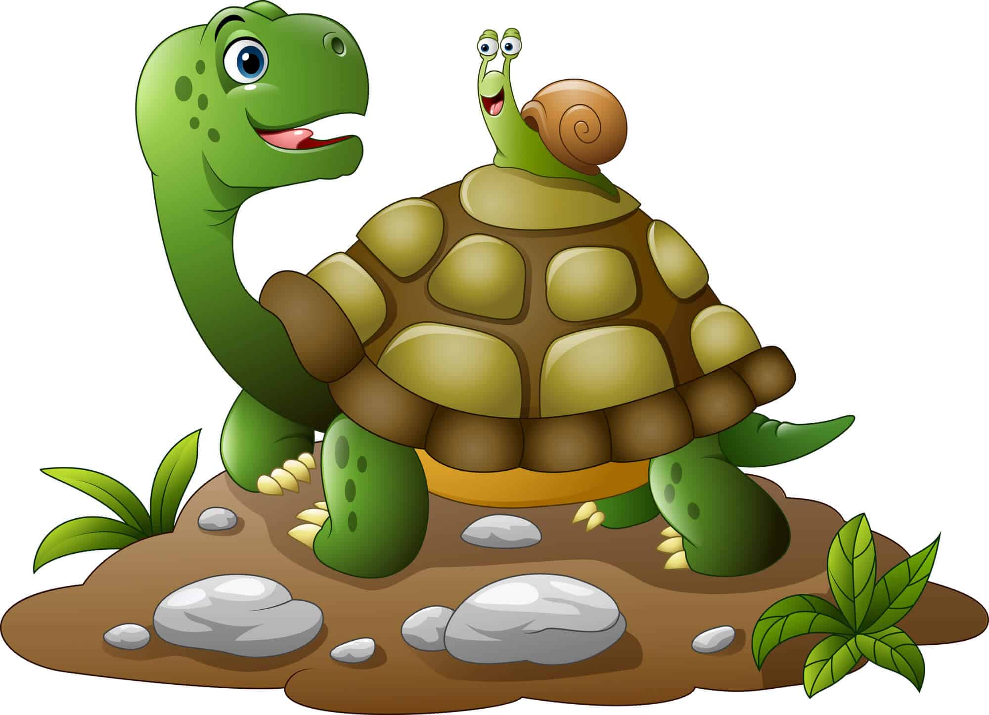 Are Snails Good For Turtle Tanks? (For Beginners)