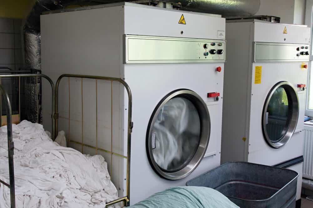 Are Criterion Dryers Any Good? (Complete Guide)