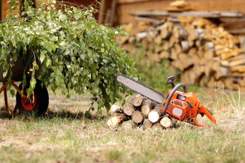 Are Makita Chainsaws Good? (Explained For Beginners)