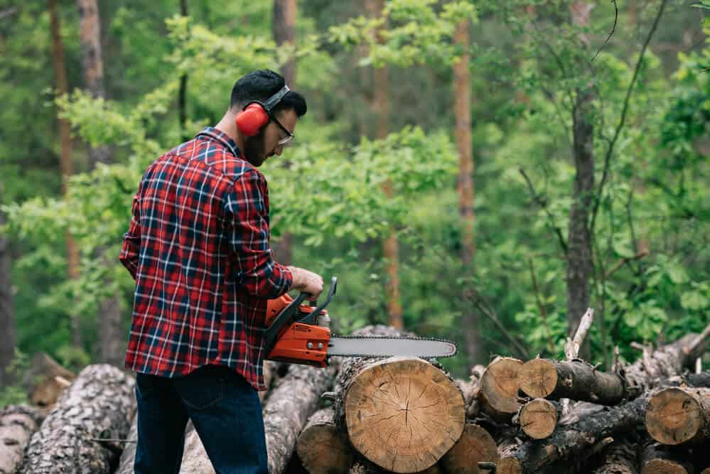 Are Mcculloch Chainsaws Good? (Explained For Beginners)