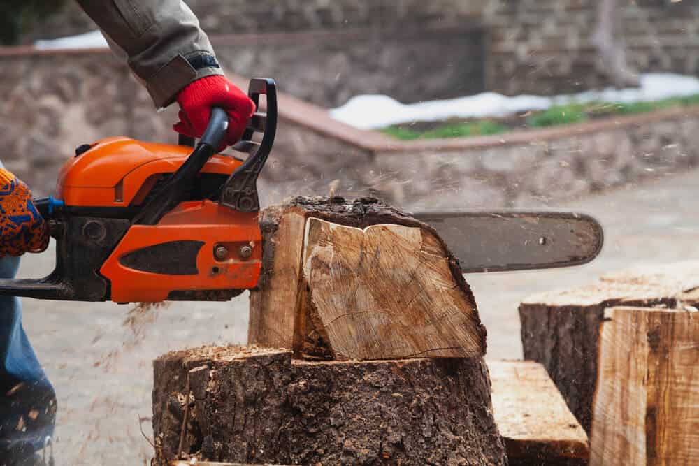 Are Oleo-Mac Chainsaws Good? (Explained for Beginners)