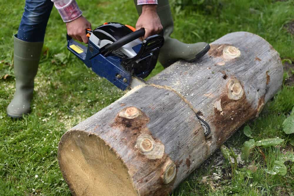 Are Redmax Chainsaws Good? (Explained for Beginners)
