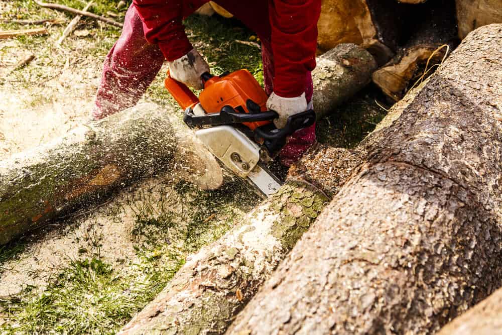 Are Troy-Bilt Chainsaws Good? (Explained For Beginners)