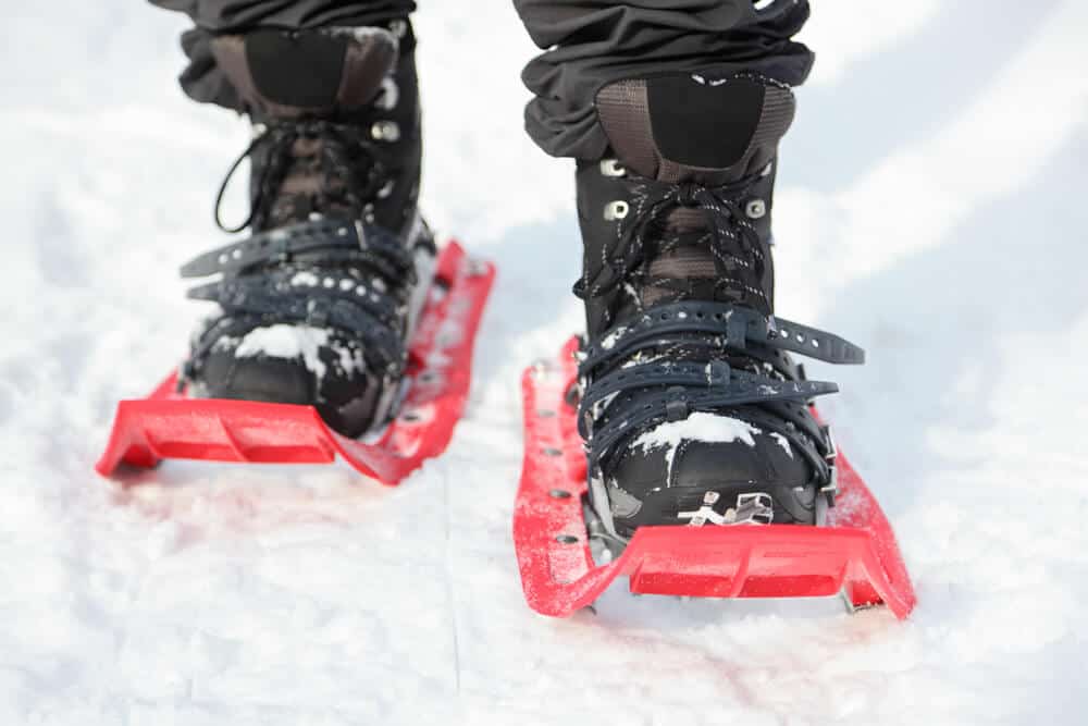 Are Costco Snowshoes Any Good? (Explained For Beginners)