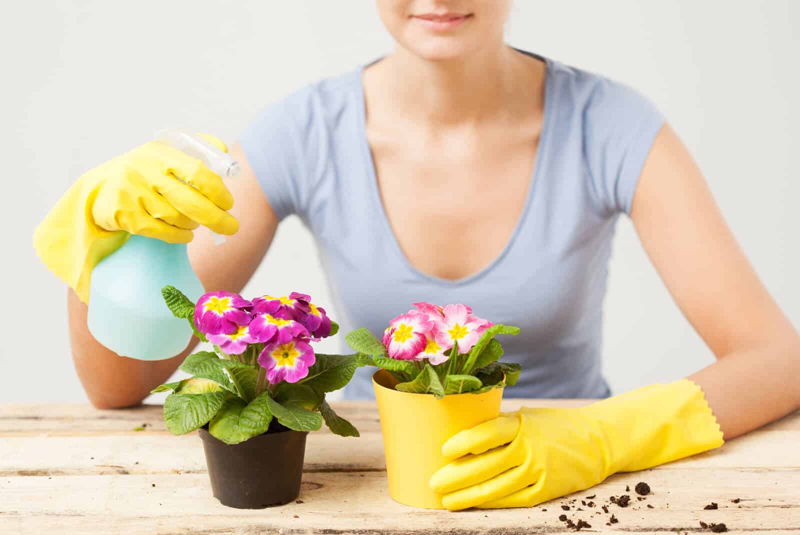 Spray Bottle not Working (3 Reasons & Do This FIRST!)
